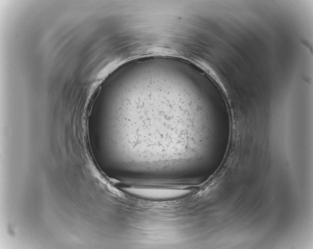 X0000099401381200805291201