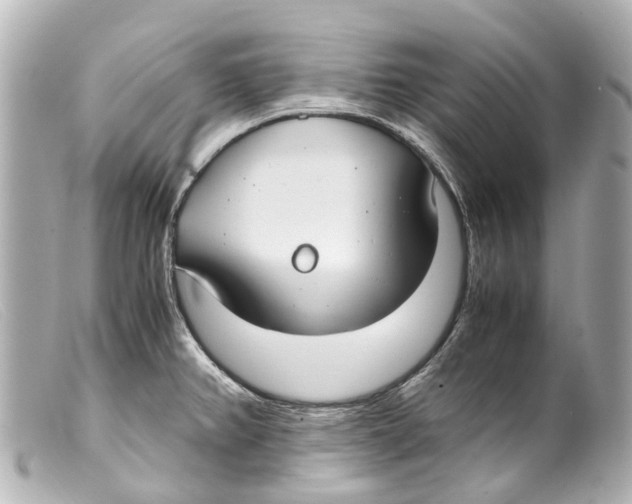 X0000099401382200805291201