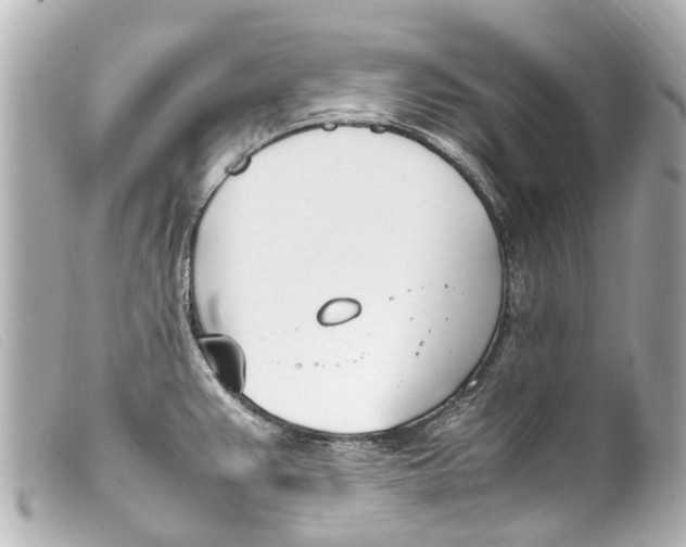 X0000099401383200805291201