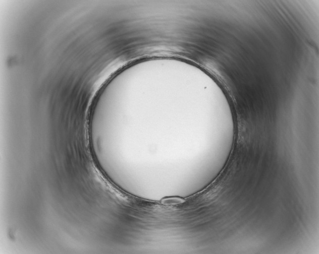 X0000099401384200805291201