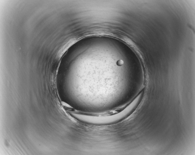 X0000099401385200805291201