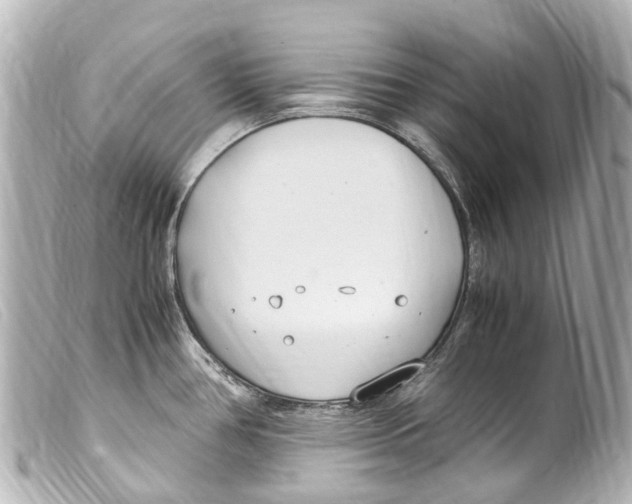 X0000099401386200805291201