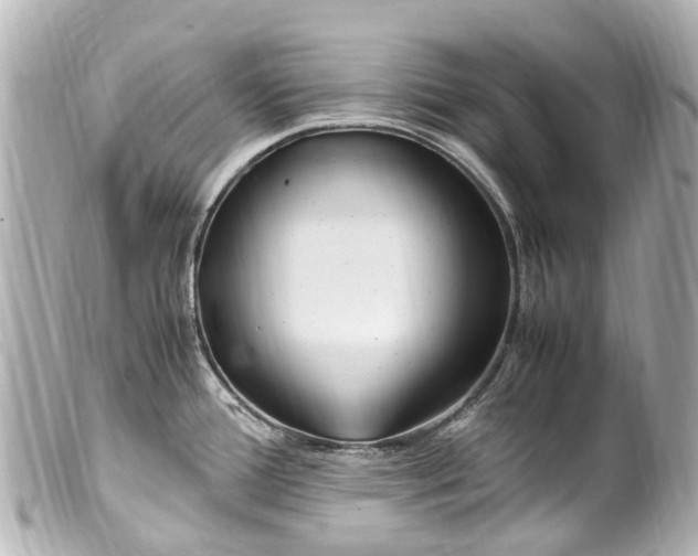 X0000099401388200805291201