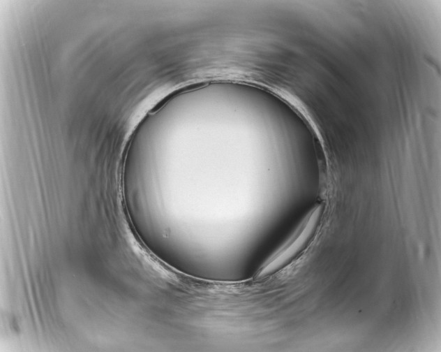 X0000099401389200805291201