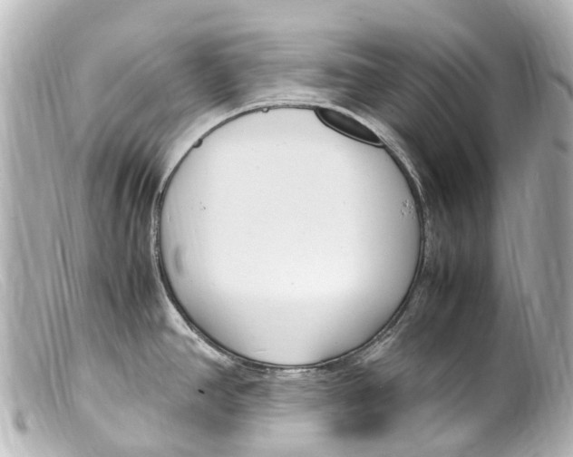 X0000099401390200805291201