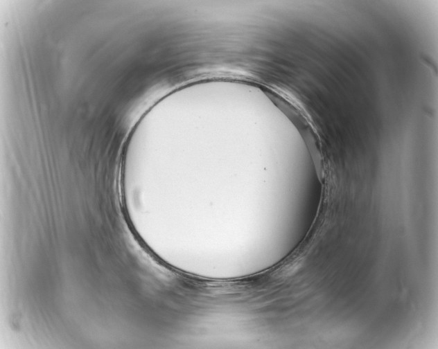 X0000099401391200805291201