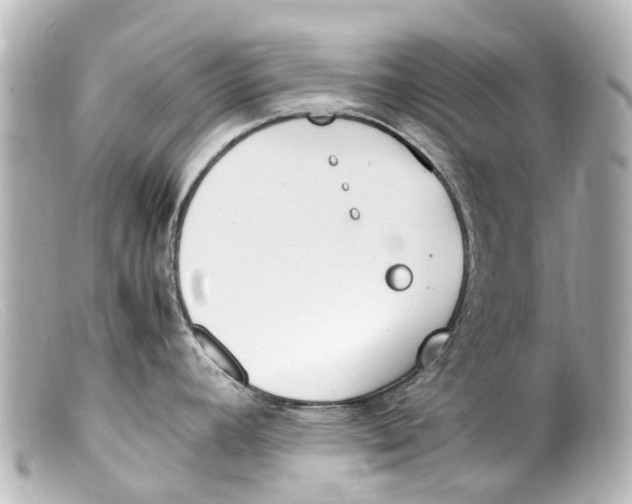 X0000099401392200805291201