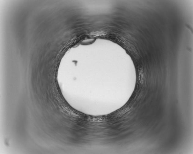 X0000099401393200805291200