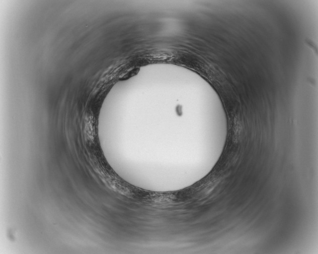 X0000099401394200805291200