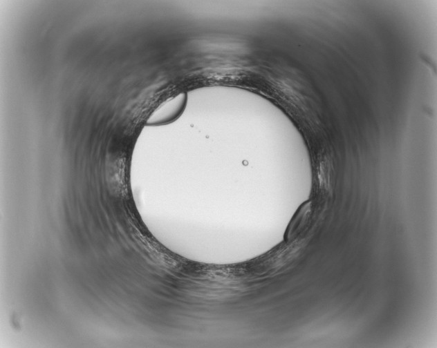 X0000099401396200805291200