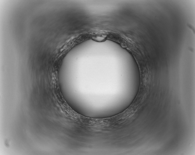 X0000099401397200805291200