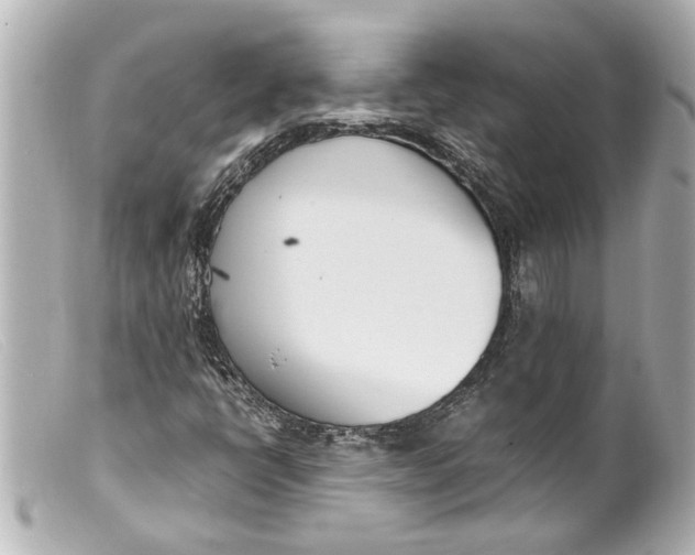 X0000099401398200805291200