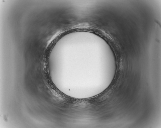 X0000099401400200805291200