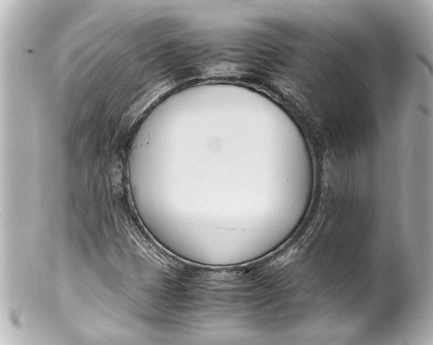 X0000099401401200805291200