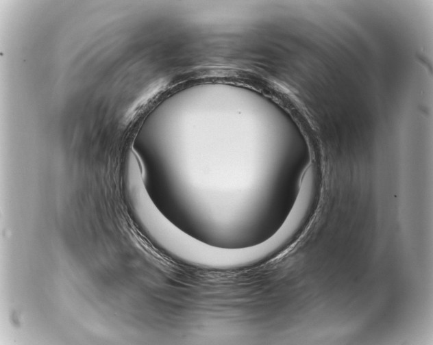 X0000099401403200805291200