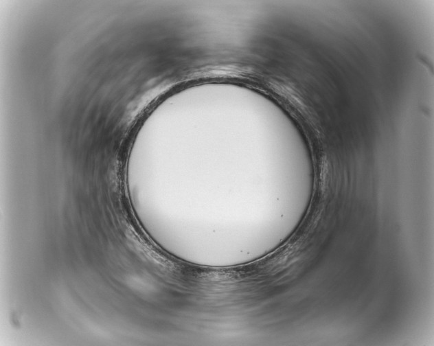 X0000099401404200805291200