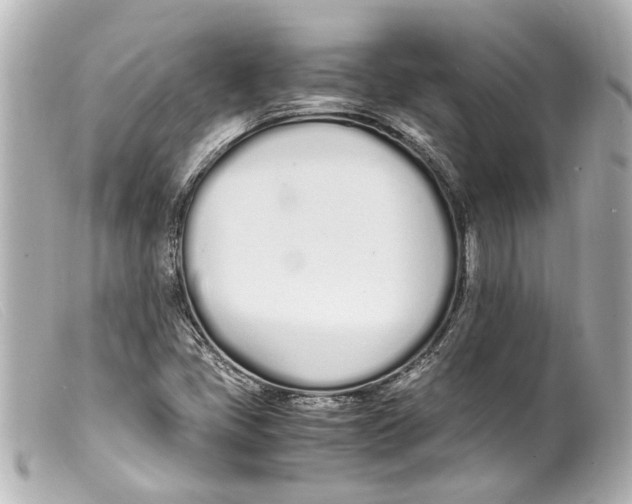 X0000099401405200805291200