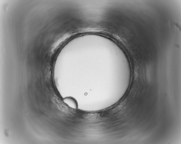 X0000099401406200805291200