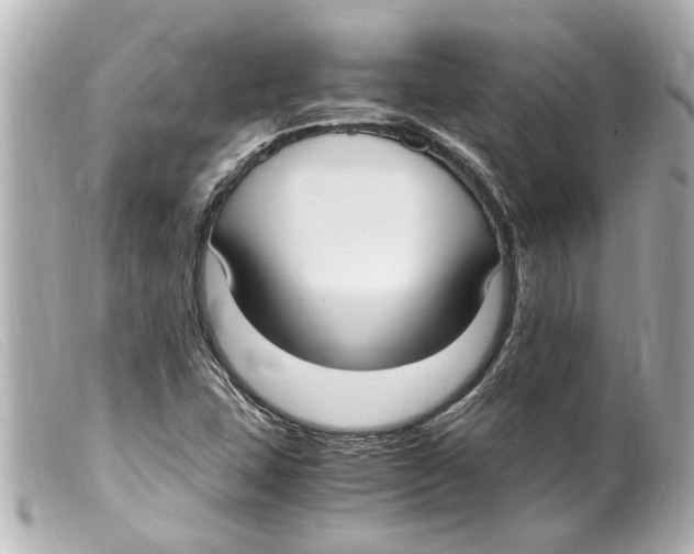 X0000099401407200805291200