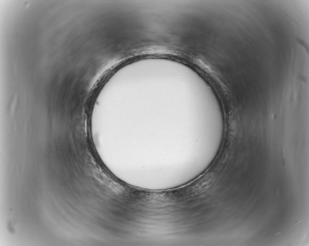 X0000099401408200805291200