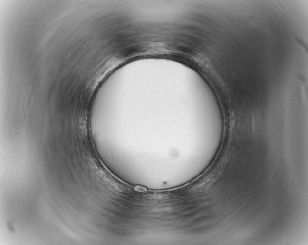 X0000099401409200805291200