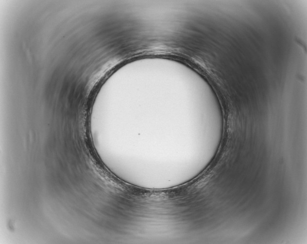 X0000099401410200805291200