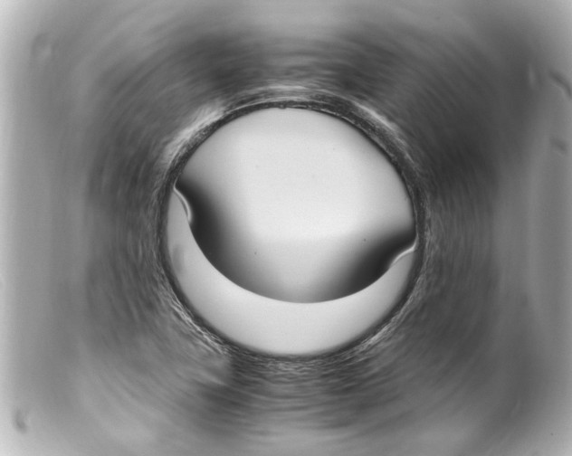 X0000099401411200805291200