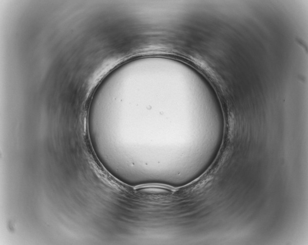 X0000099401413200805291200