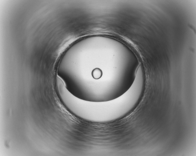 X0000099401415200805291200