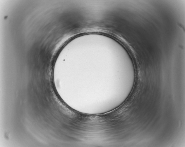 X0000099401416200805291200