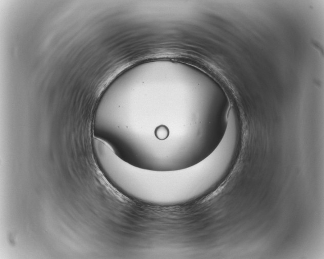 X0000099401417200805291200