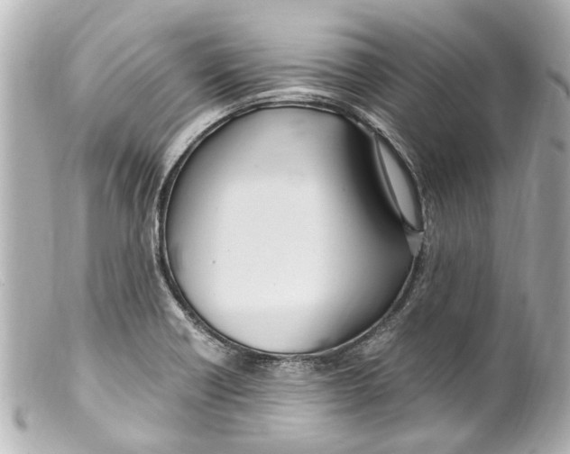 X0000099401418200805291200