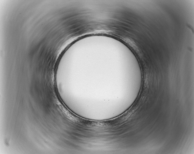 X0000099401420200805291200