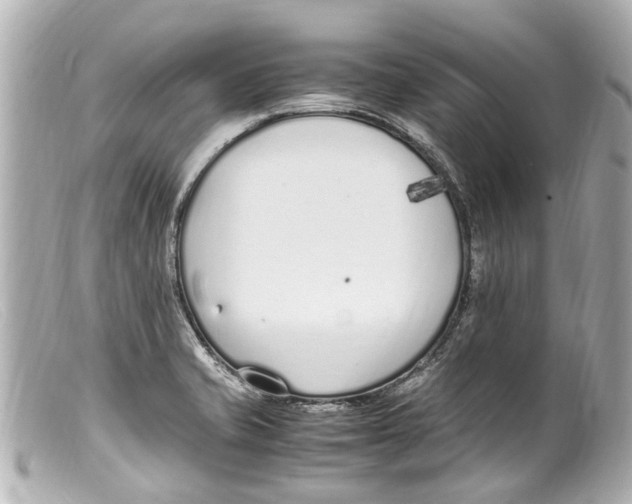 X0000099401421200805291201