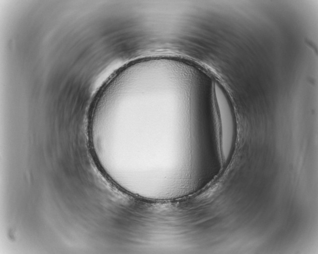 X0000099401422200805291201