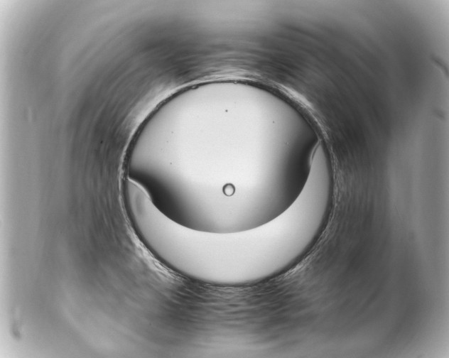 X0000099401423200805291201