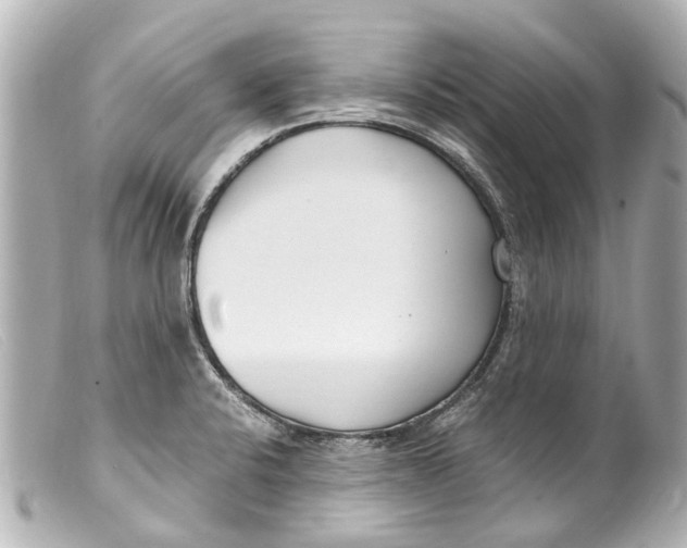 X0000099401424200805291201