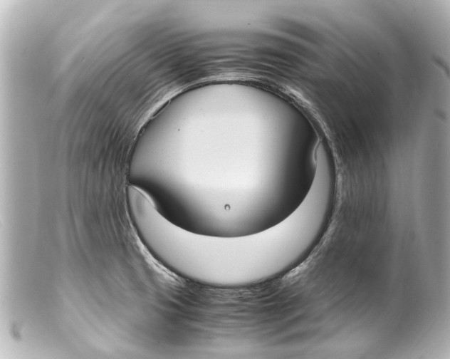 X0000099401425200805291201