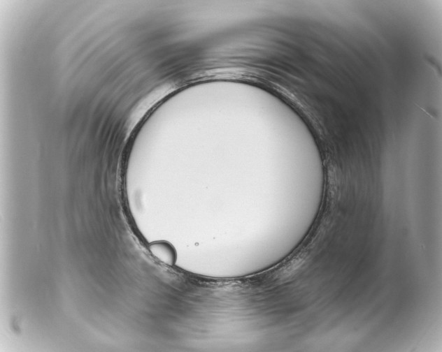 X0000099401426200805291201