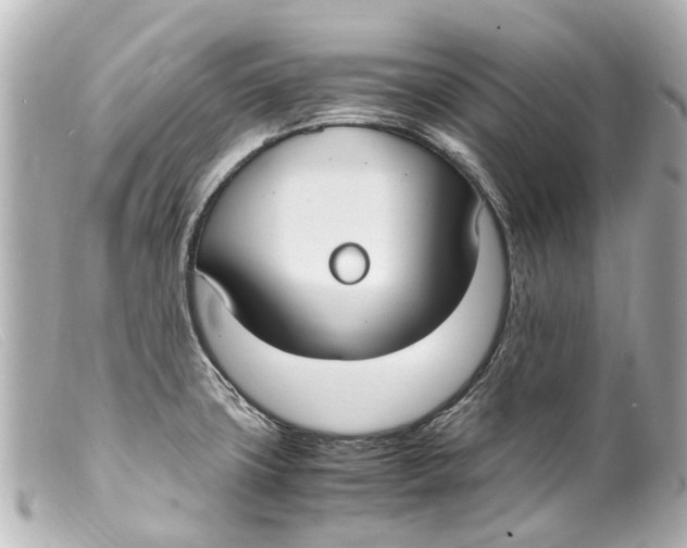 X0000099401427200805291201