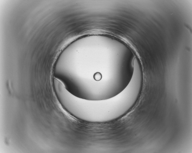 X0000099401429200805291201