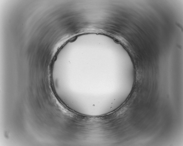 X0000099401430200805291201