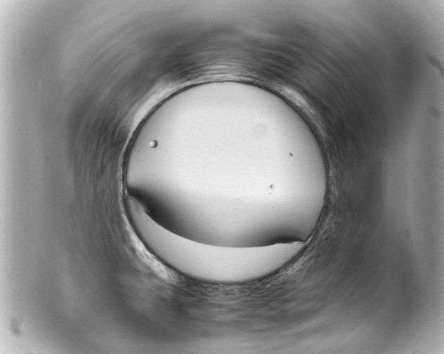 X0000099401431200805291201