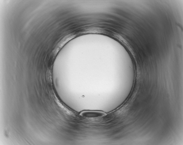 X0000099401433200805291201