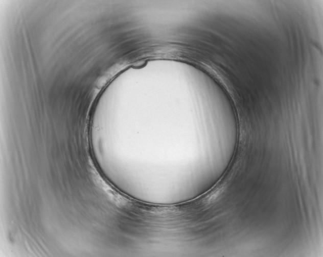 X0000099401434200805291201