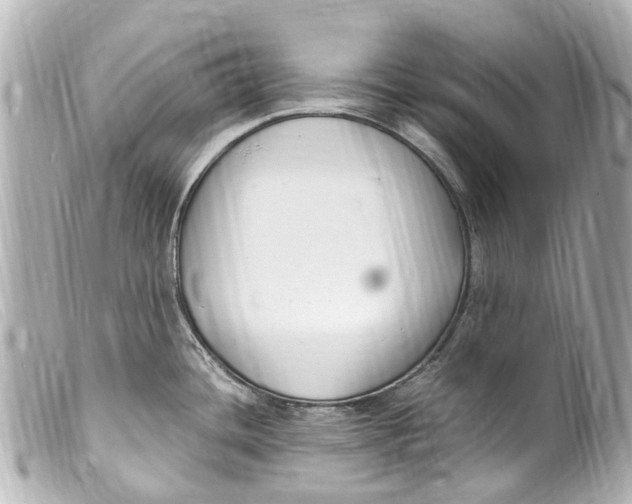 X0000099401436200805291201