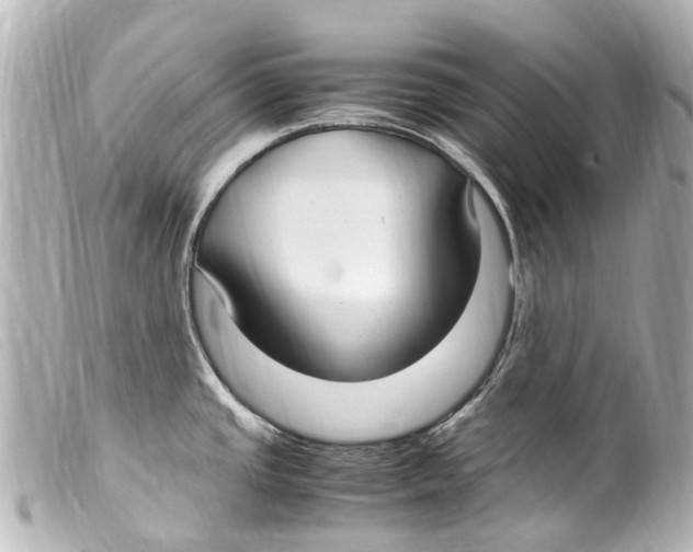 X0000099401437200805291201