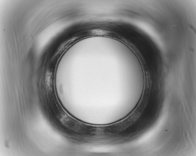 X0000099401438200805291201