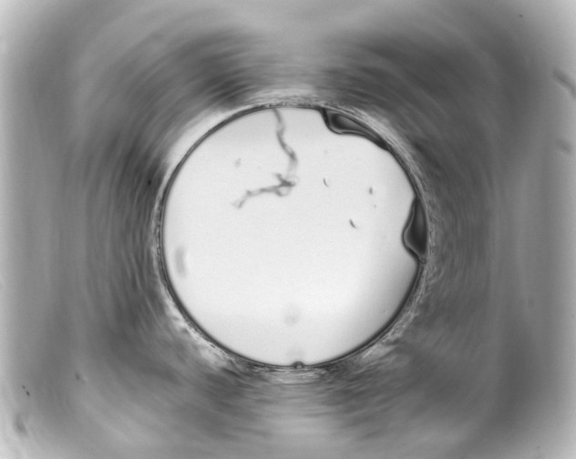 X0000099401440200805291201