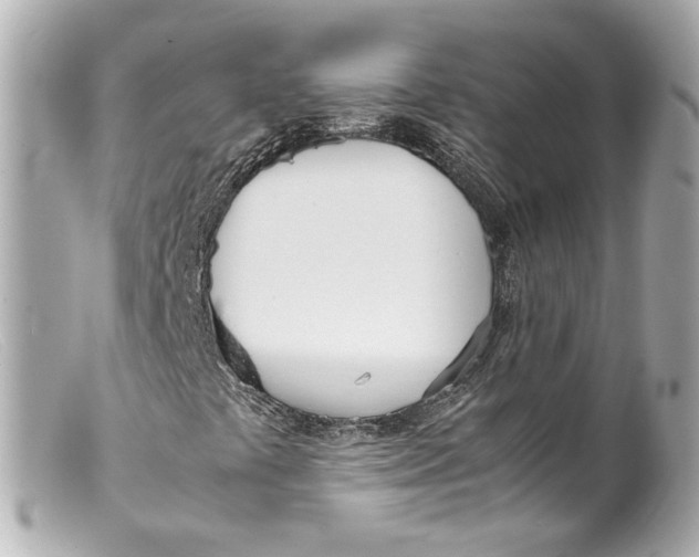 X0000099401441200805291200